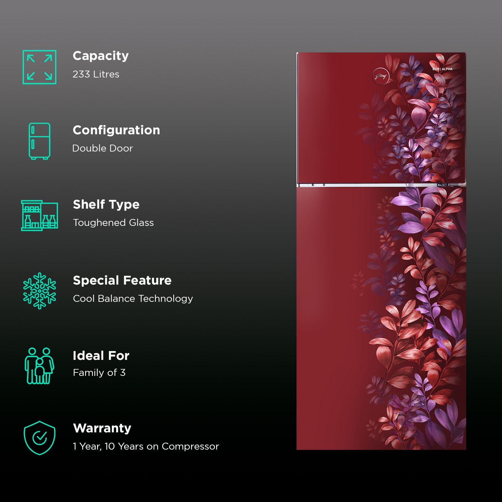 Godrej Eon Alpha 233 Litres 2 Star Frost Free Double Door Refrigerator with Cool Balance Technology (RT EONALPHA 270B RI, Aria Wine)_2