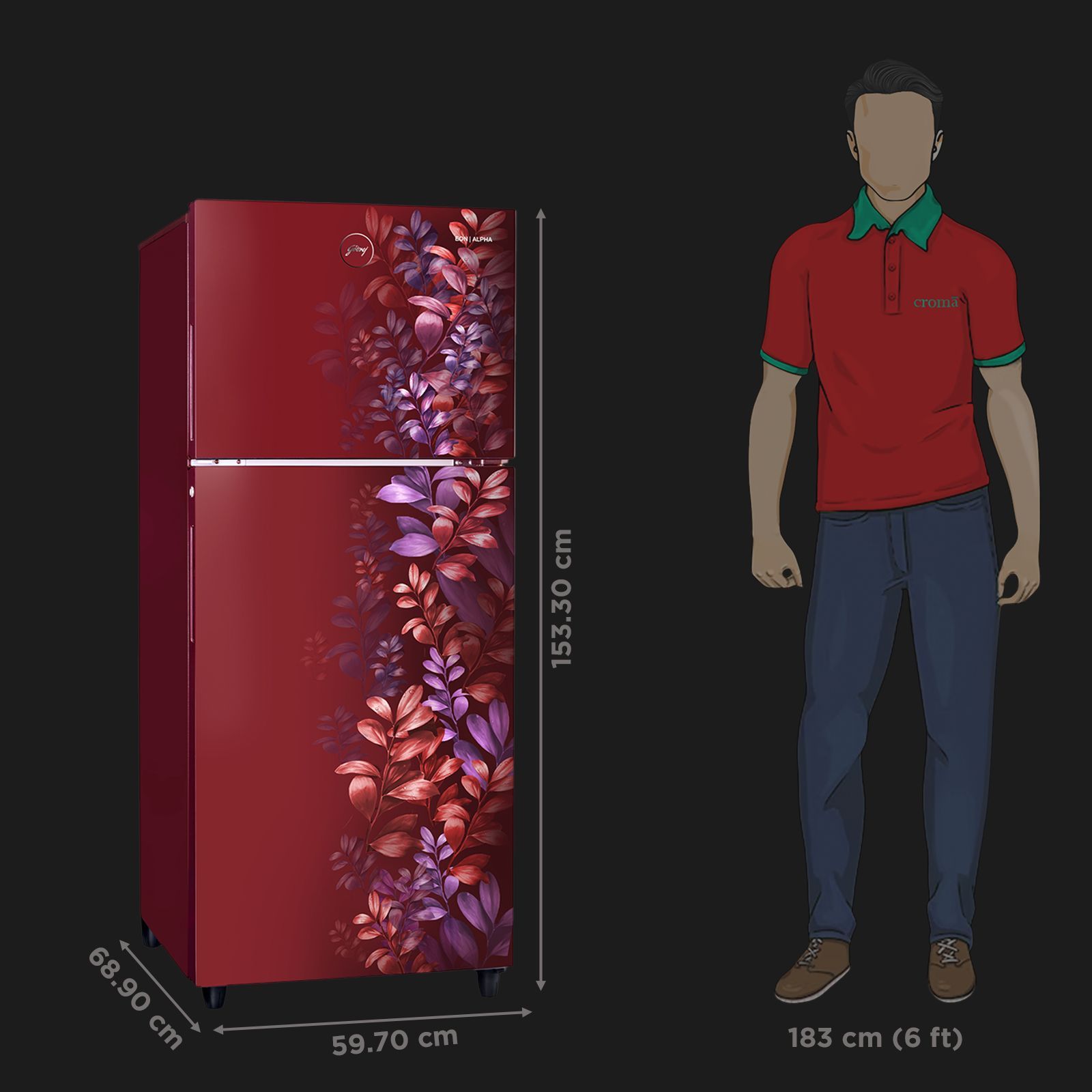 Godrej Eon Alpha 233 Litres 2 Star Frost Free Double Door Refrigerator with Cool Balance Technology (RT EONALPHA 270B RI, Aria Wine)_3