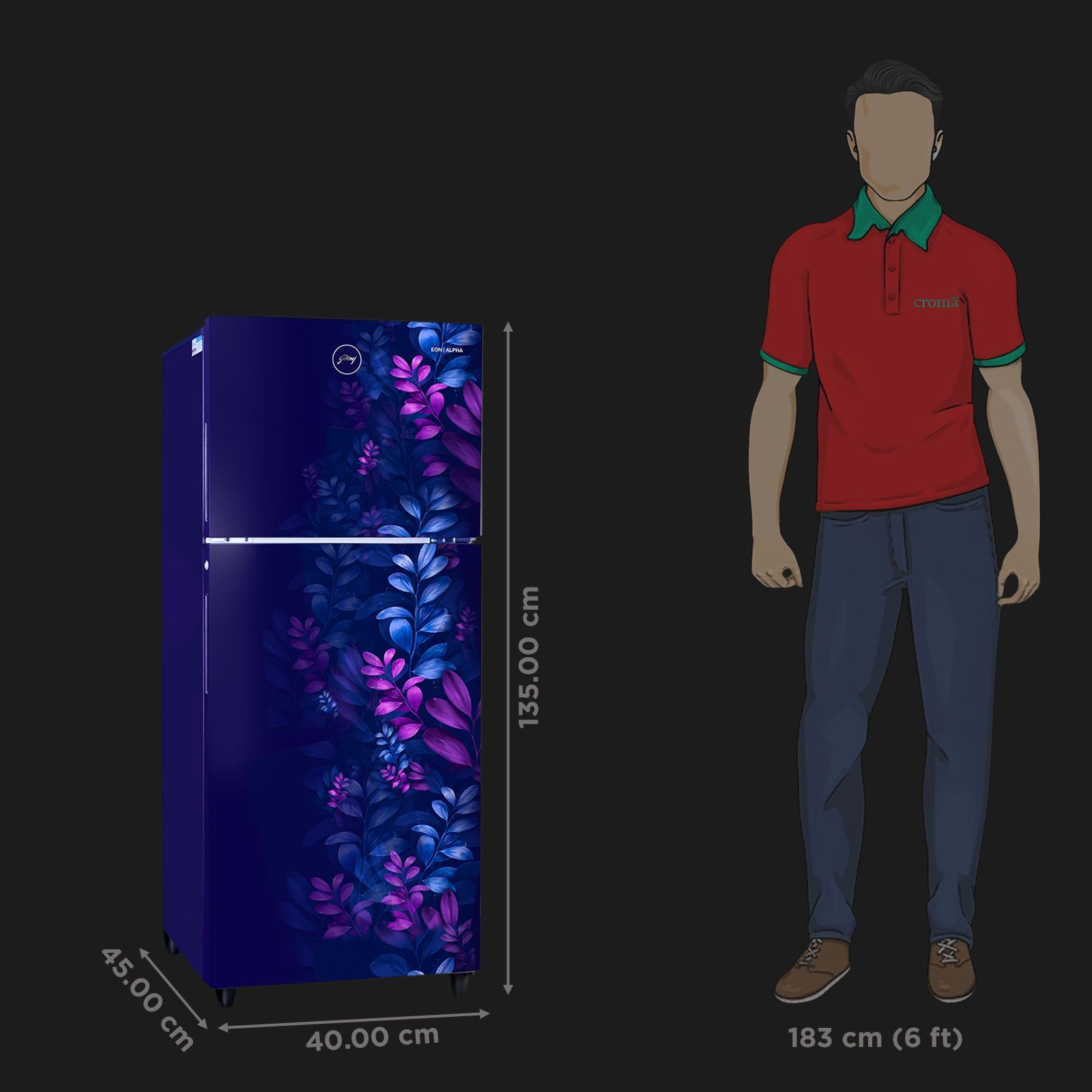 Godrej Eon Alpha 233 Litres 2 Star Frost Free Double Door Refrigerator with Cool Balance Technology (RT EONALPHA 270B RI, Aria Blue)_3