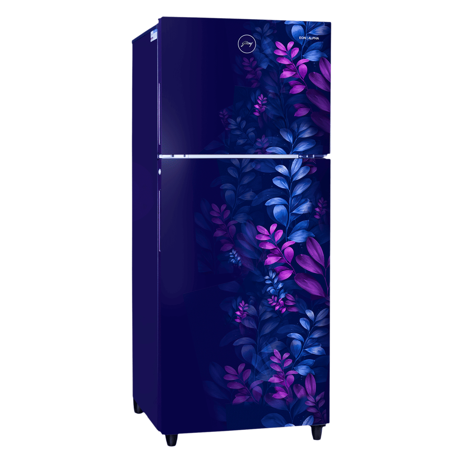 Godrej Eon Alpha 233 Litres 2 Star Frost Free Double Door Refrigerator with Cool Balance Technology (RT EONALPHA 270B RI, Aria Blue)_4
