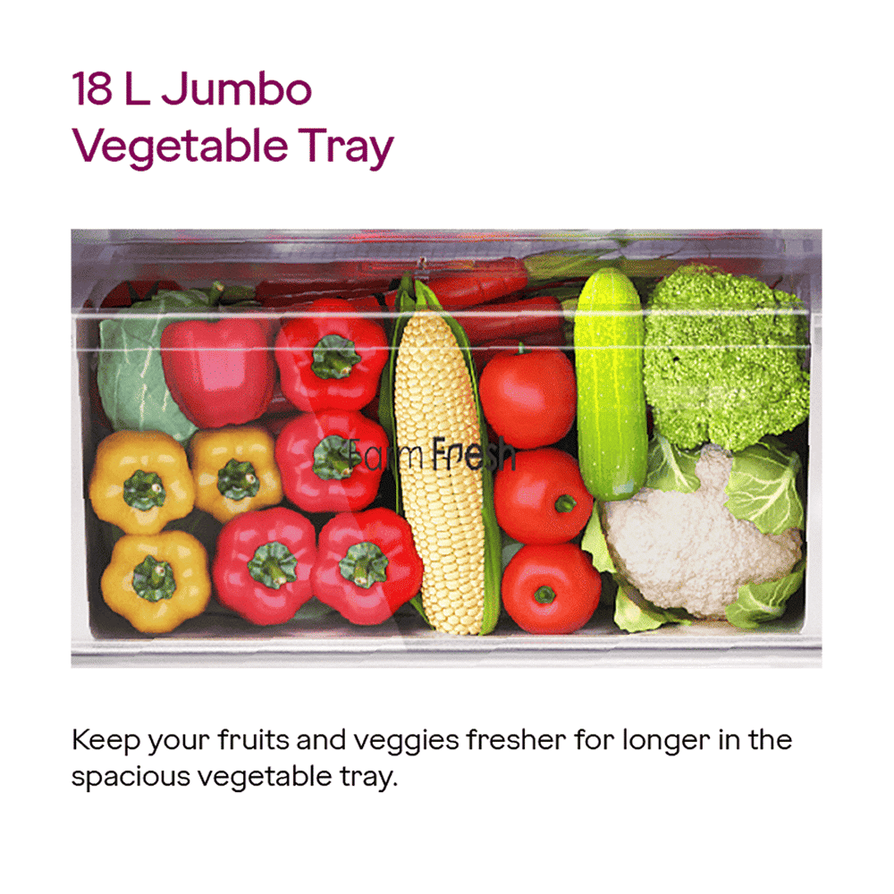 Godrej Eon Alpha 233 Litres 2 Star Frost Free Double Door Refrigerator with Cool Balance Technology (RT EONALPHA 270B RI, Steel Glow)_13