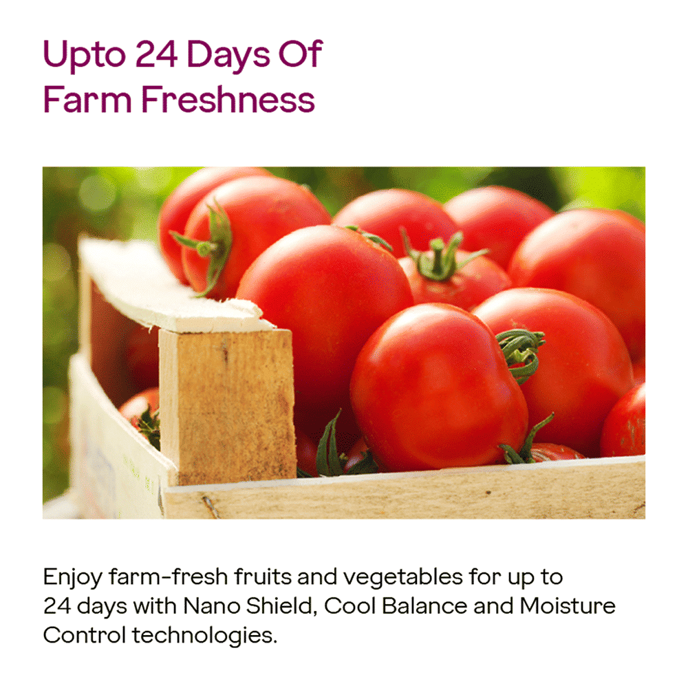 Godrej Eon Alpha 233 Litres 2 Star Frost Free Double Door Refrigerator with Cool Balance Technology (RT EONALPHA 270B RI, Steel Glow)_14