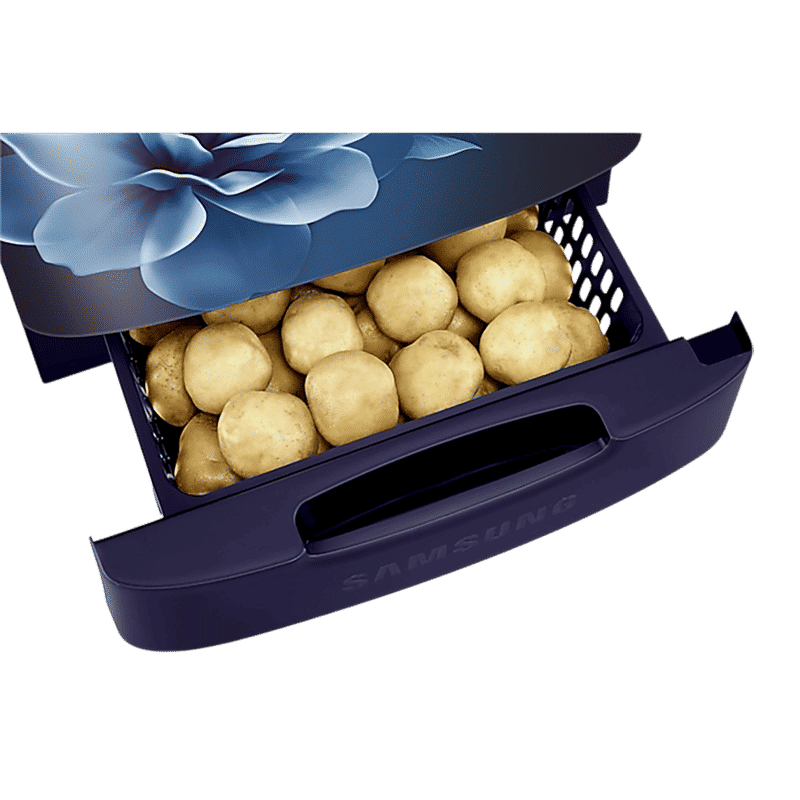 SAMSUNG Stylish Grande 223 Litres3 Star Direct Cool Single Door Refrigerator with Anti Bacterial Gasket (RR24D2Z23CU/NL, Camellia Blue)_13