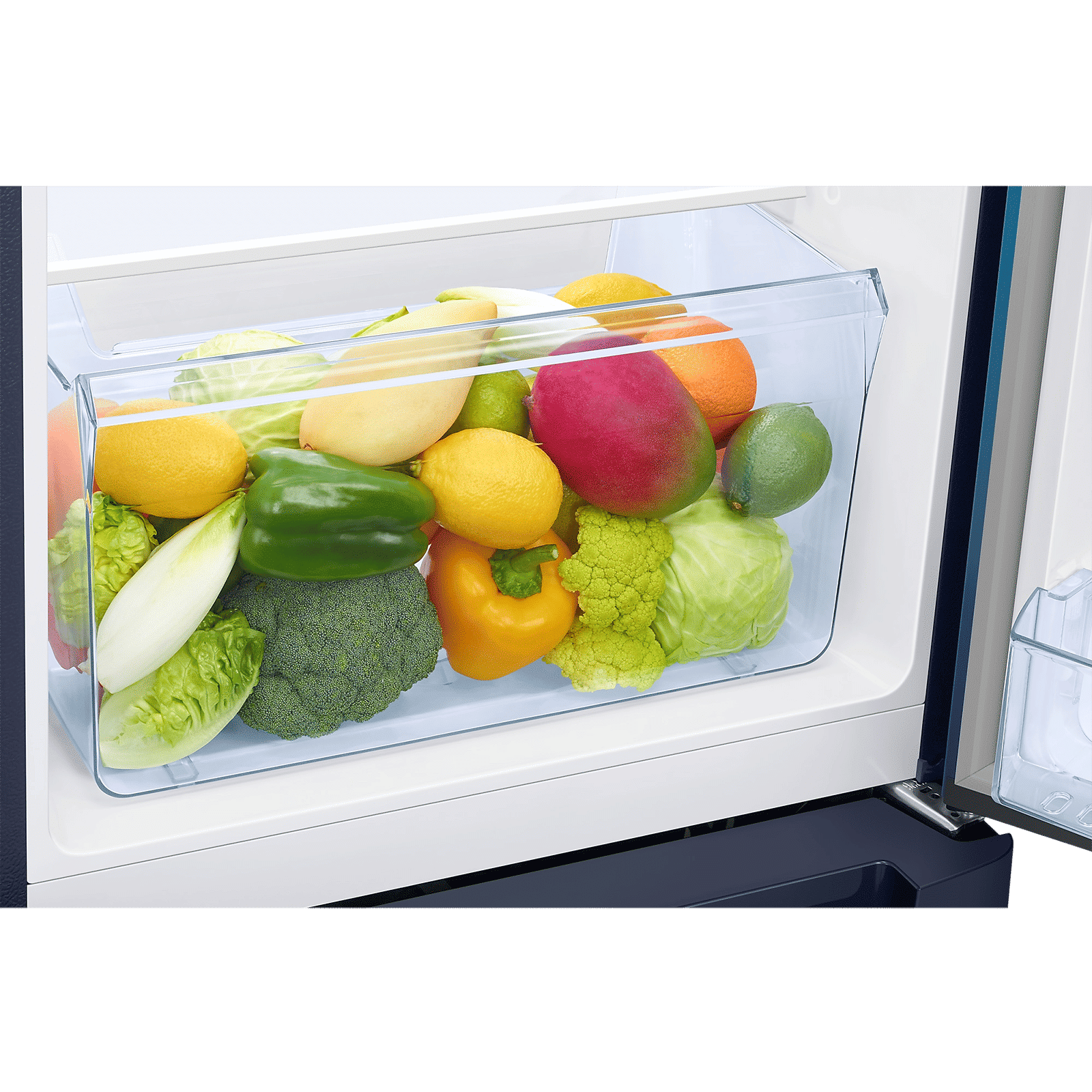 SAMSUNG Digi-Touch Cool 189 Litres 5 Star Direct Cool Single Door Refrigerator with Anti Bacterial Gasket (RR21C2F259U/HL, Paradise Bloom Blue) SAMSUNG Digi-Touch Cool 189 Litres 5 Star Direct Cool Single Door Refrigerator with Anti Bacterial Gasket (RR21C2F259U/HL, Paradise Bloom Blue)_11