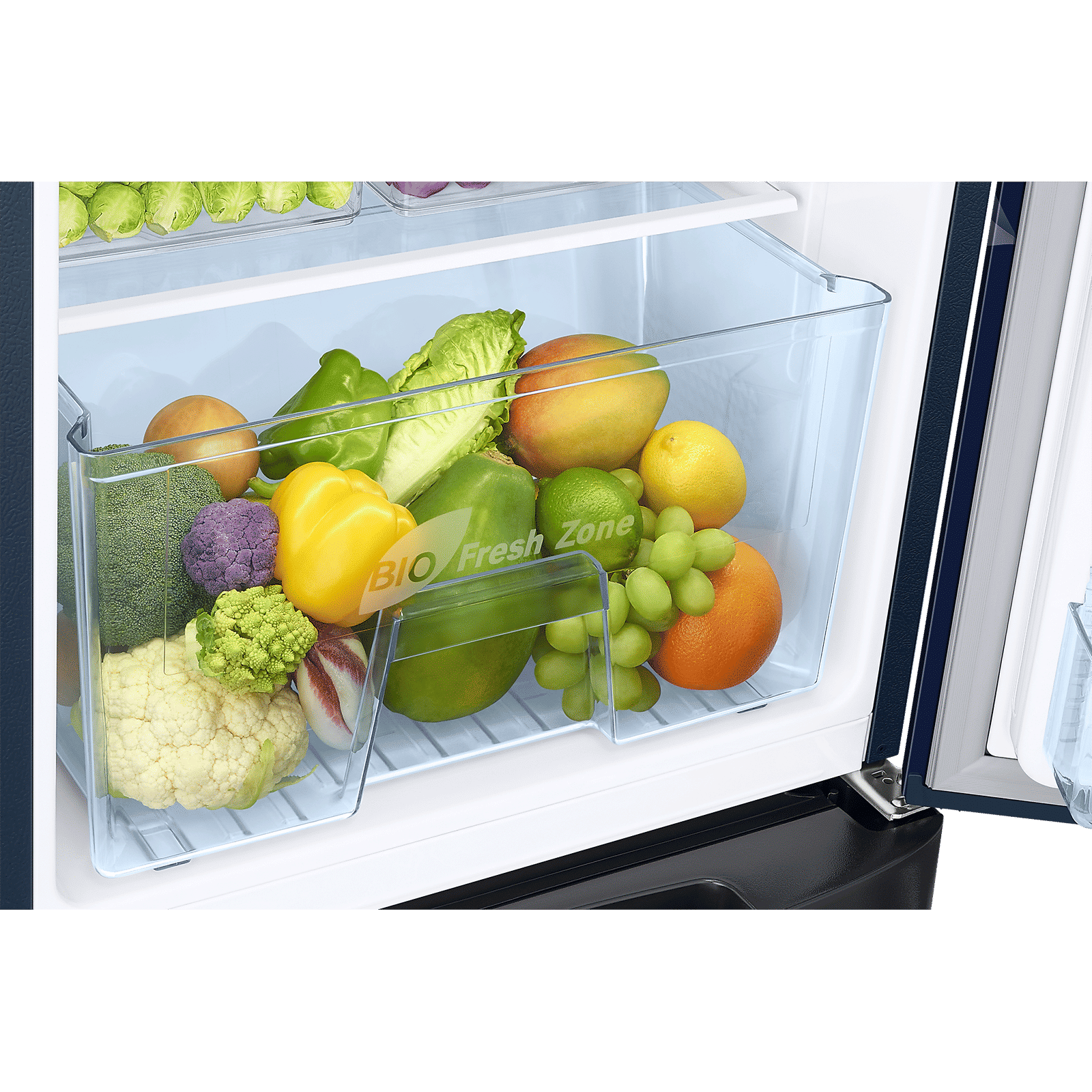 SAMSUNG Stylish Grande 183 Litres 5 Star Direct Cool Single Door Refrigerator with Anti Bacterial Gasket (RR20D2825HV/NL, Blue Arctic)_14