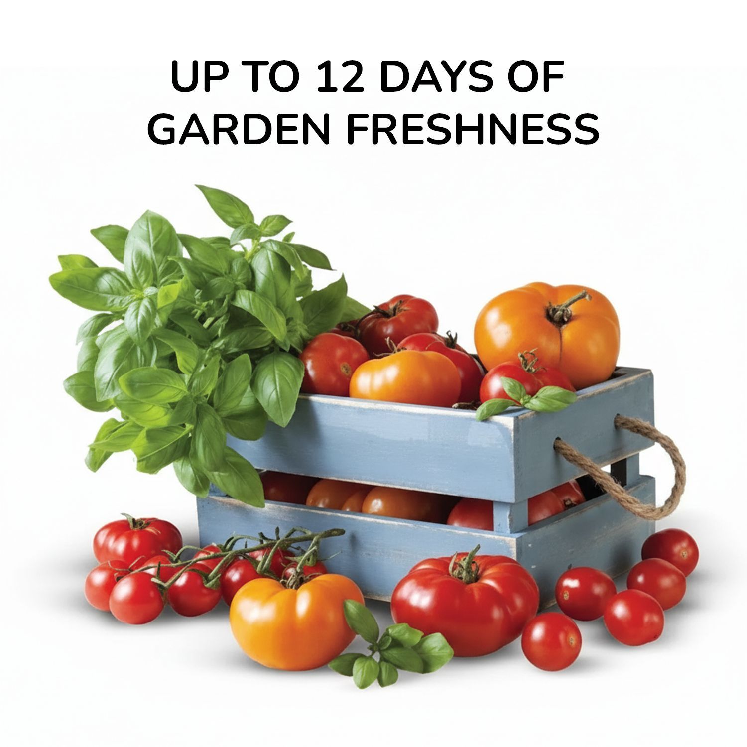 Whirlpool Vitamagic Pro 192 Litres 3 Star Direct Cool Single Door Refrigerator with Zeolite Technology (73132, Grey)_19