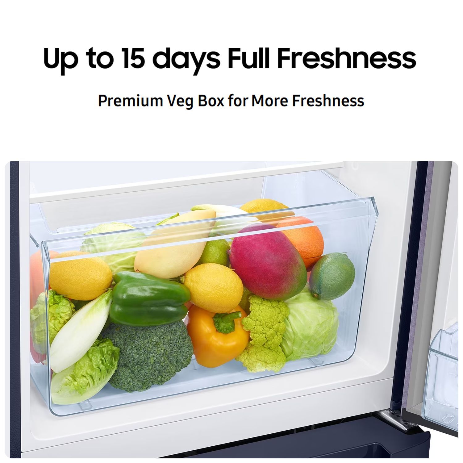 SAMSUNG Horizontal Curve 215 Litres 5 Star Direct Cool Single Door Refrigerator with Base Stand Drawer (RR23D2H259R/HL, Paradise Bloom Purple)_16