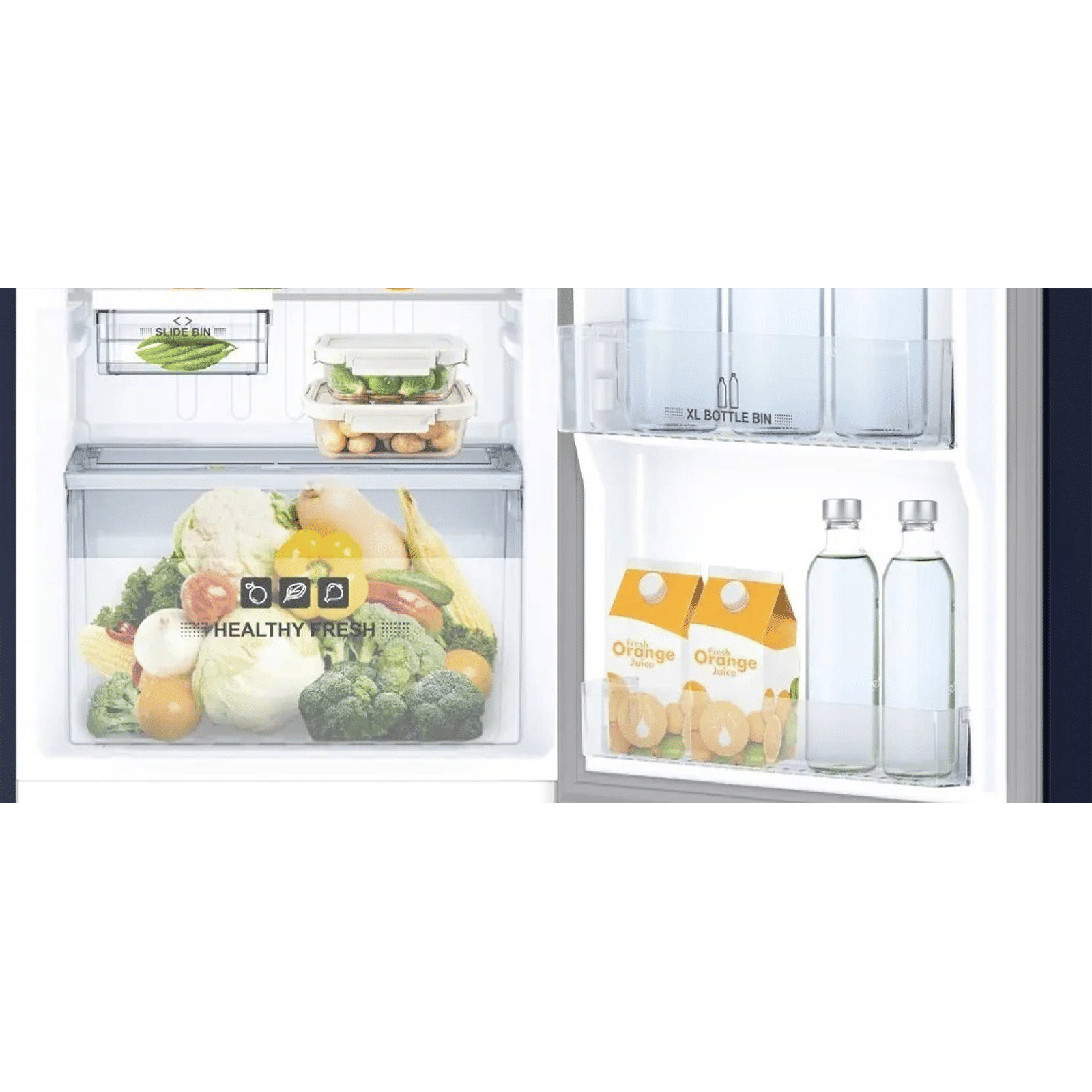 IFB Metal - Cool 222 Litres 3 Star Direct Cool Single Door Refrigerator with Anti Bacterial Gasket (IFBDC-2483FBH, Blue Flower)_10