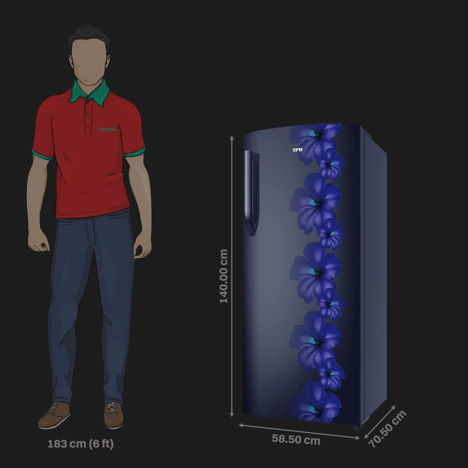 IFB Metal - Cool 222 Litres 3 Star Direct Cool Single Door Refrigerator with Anti Bacterial Gasket (IFBDC-2483FBH, Blue Flower)_3