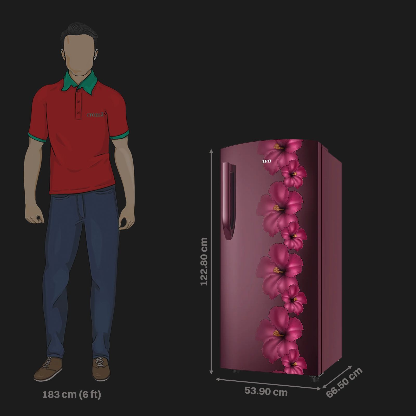 IFB Metal - Cool 187 Litres 3 Star Direct Cool Single Door Refrigerator with Anti Bacterial Gasket (IFBDC-2133FRH, Red Flower)_3