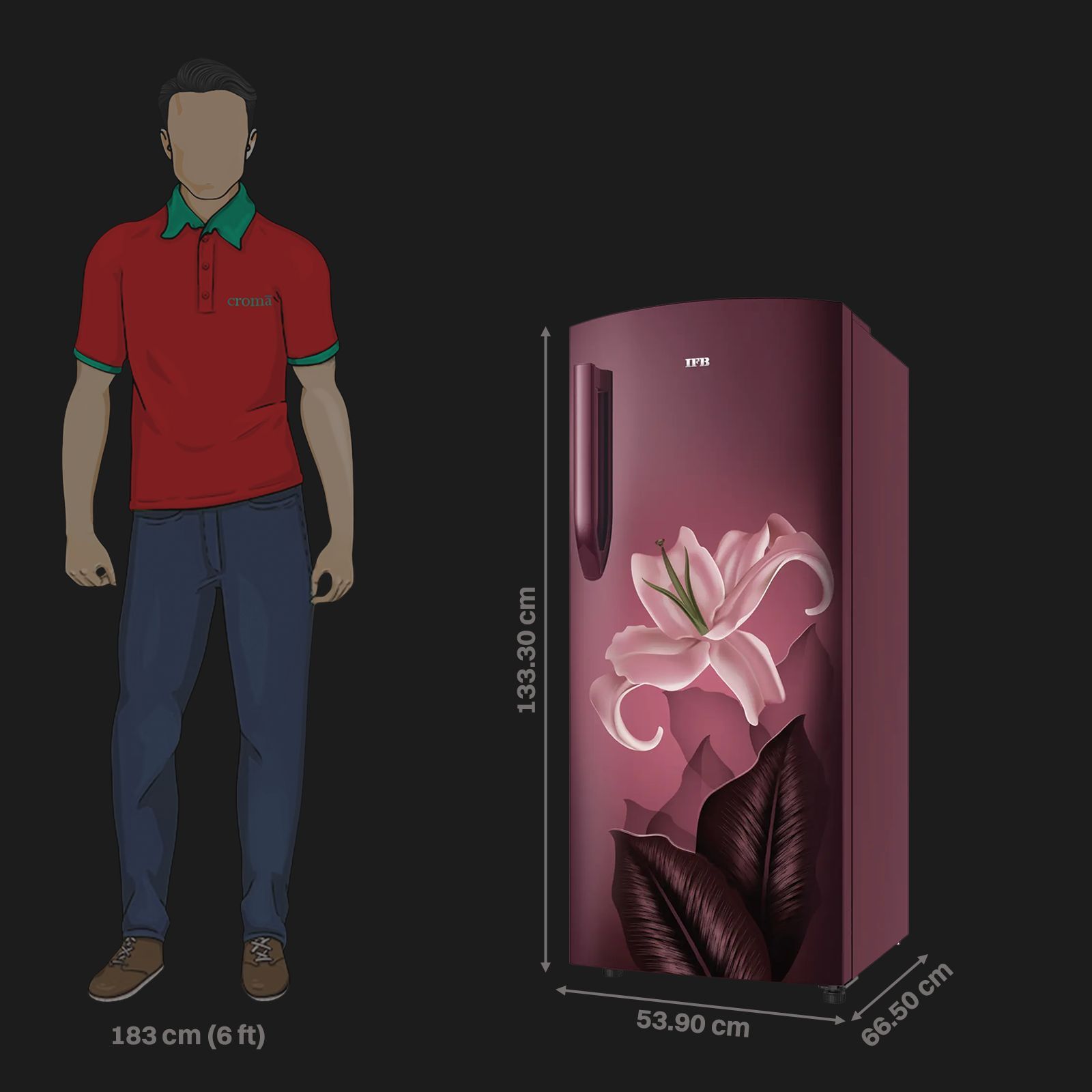 IFB Advance-Cool 206 Litres 5 Star Direct Cool Single Door Refrigerator with Anti Bacterial Gasket (IFBDC-2325IRB, Midnight Bloom Red)_3