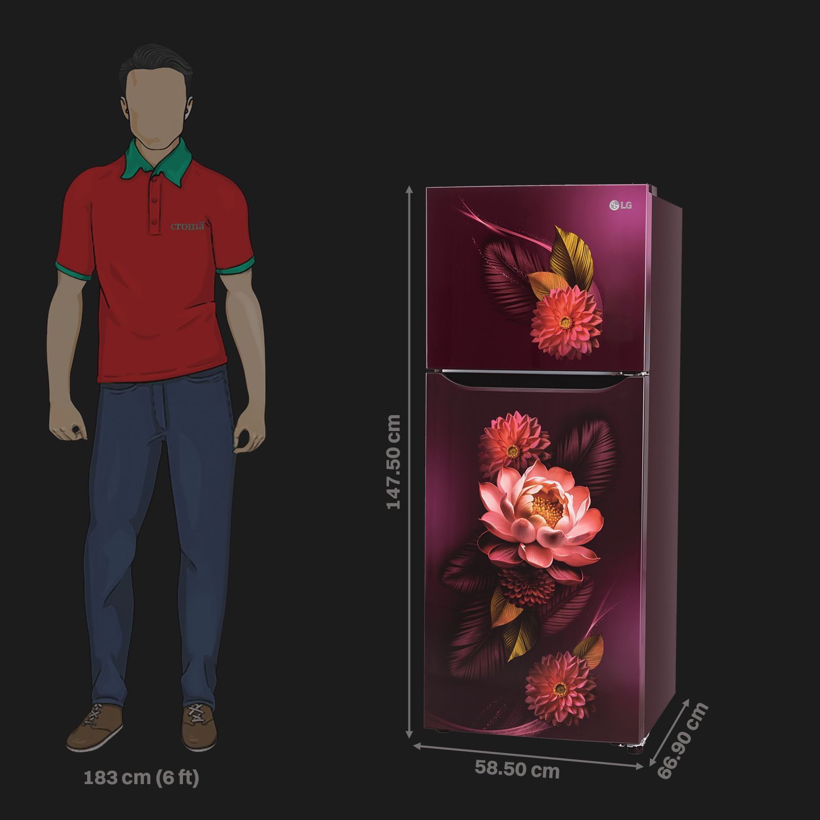 LG 240 Litres 2 Star Frost Free Double Door Convertible Refrigerator with MOIST ‘N’ FRESH Technology (GL-S292SRWY, Red Waterlily)_2