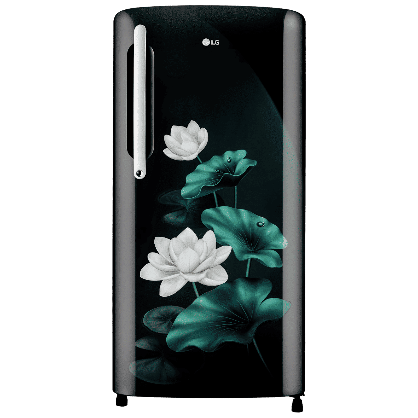 LG 201 Litres 3 Star Direct Cool Single Door Refrigerator with Stabilizer Free Operation (GL-B211HELD, Emareld Lotus)_1