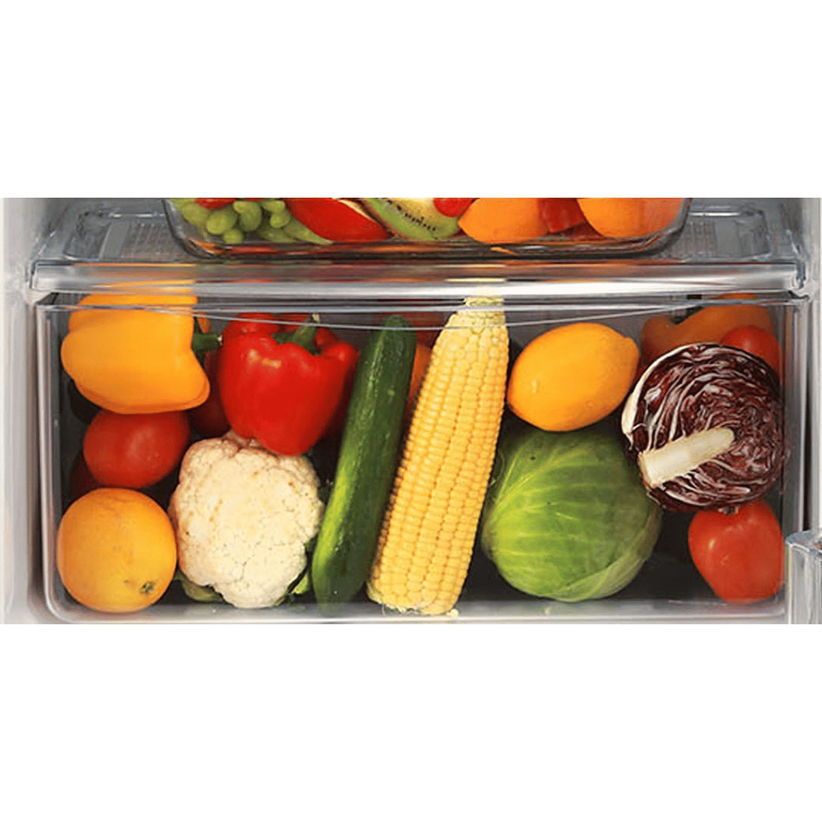 LG 185 Litres 3 Star Direct Cool Single Door Refrigerator with Anti-Bacterial Gasket (GL-B201ABCD, Blue Charm)_11