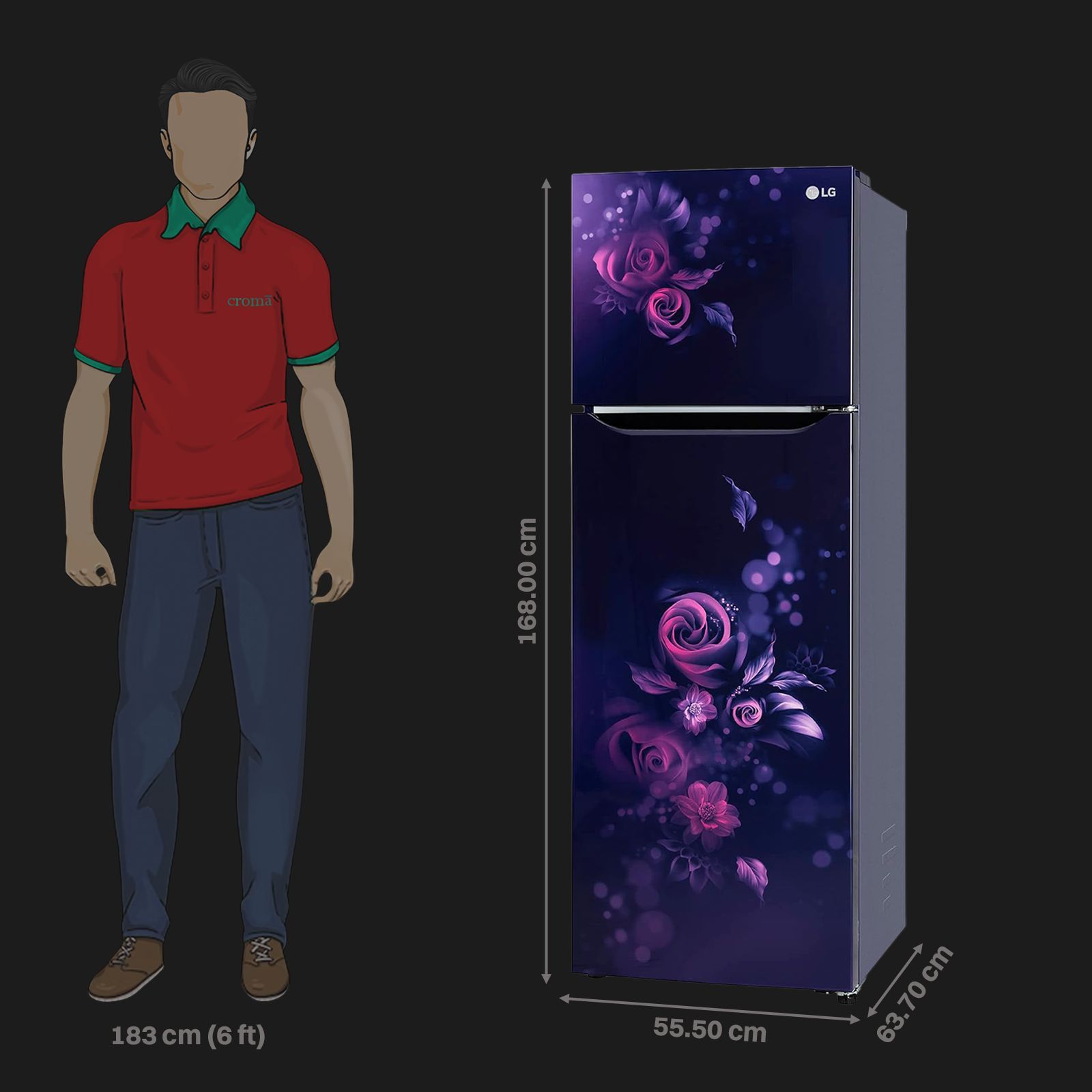 LG 272 Litres 2 Star Frost Free Double Door Convertible Refrigerator with Anti Bacterial Gasket (GL-S312SBEY.ABEZEBN, Blue Euphoria)_3