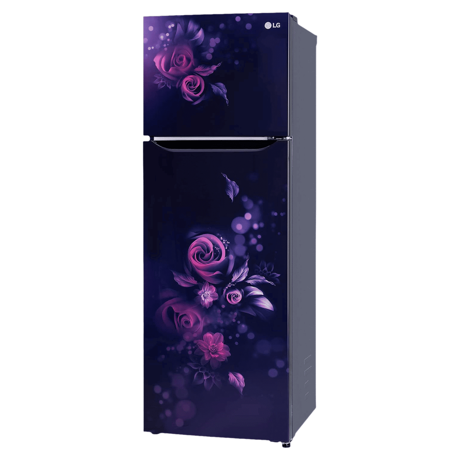 LG 272 Litres 2 Star Frost Free Double Door Convertible Refrigerator with Anti Bacterial Gasket (GL-S312SBEY.ABEZEBN, Blue Euphoria)_4