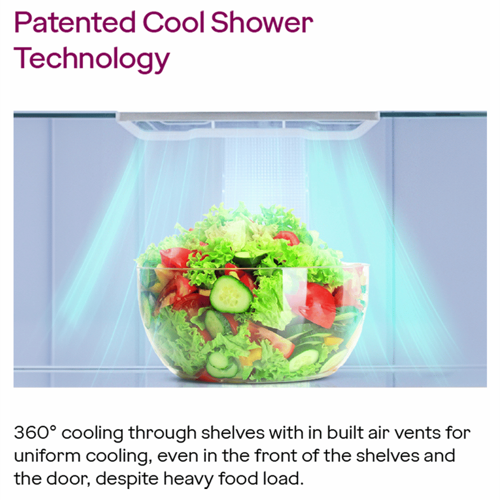 Godrej Eon Valor 272 Litres 3 Star Frost Free Double Door Convertible Refrigerator with Nano Shield Technology (RT EONVALOR 310C RCIT MT BK, Matt Black) Godrej Eon Valor 272 Litres 3 Star Frost Free Double Door Convertible Refrigerator with Nano Shield Technology (RT EONVALOR 310C RCIT MT BK, Matt Black)_11