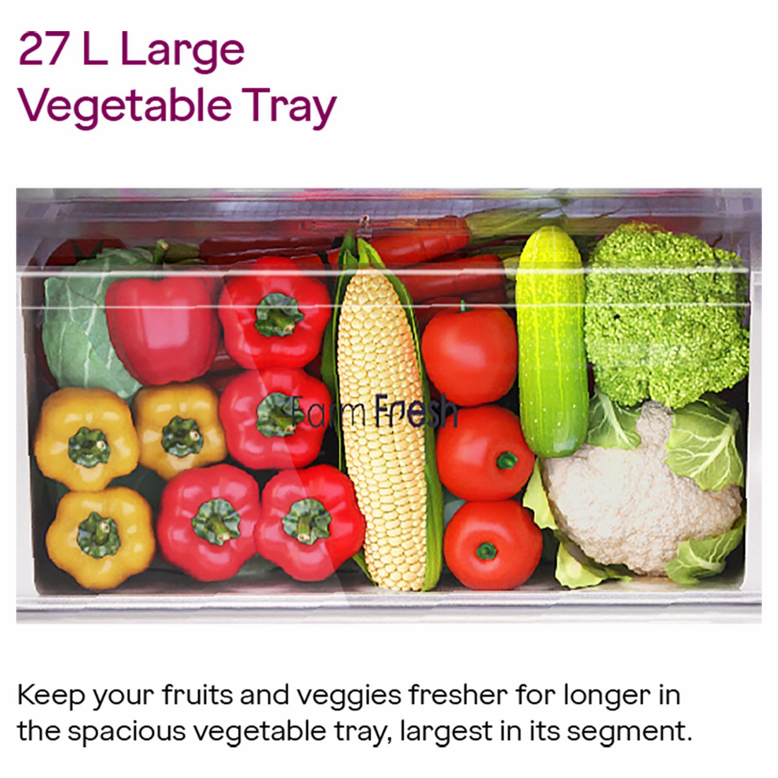 Godrej Eon Valor 272 Litres 3 Star Frost Free Double Door Convertible Refrigerator with Nano Shield Technology (RT EONVALOR 310C RCIT MT BK, Matt Black) Godrej Eon Valor 272 Litres 3 Star Frost Free Double Door Convertible Refrigerator with Nano Shield Technology (RT EONVALOR 310C RCIT MT BK, Matt Black)_13