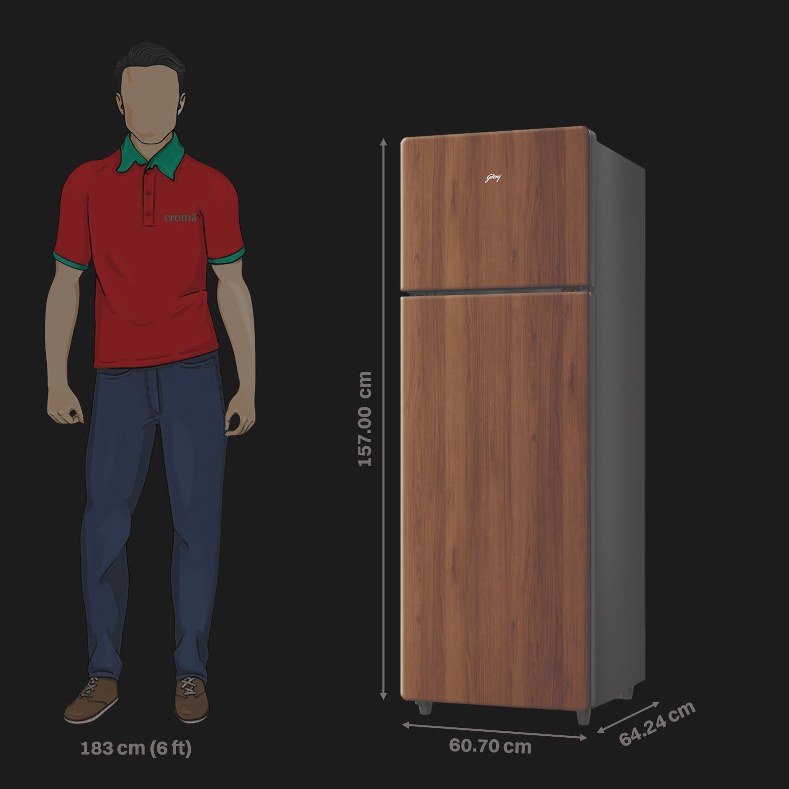 Godrej VOGUE 244 Litres 2 Star Frost Free Double Door Refrigerator with R600a Refrigerant (RT EONVOGUE 280B RI WT WD, Walnut Wood)_3