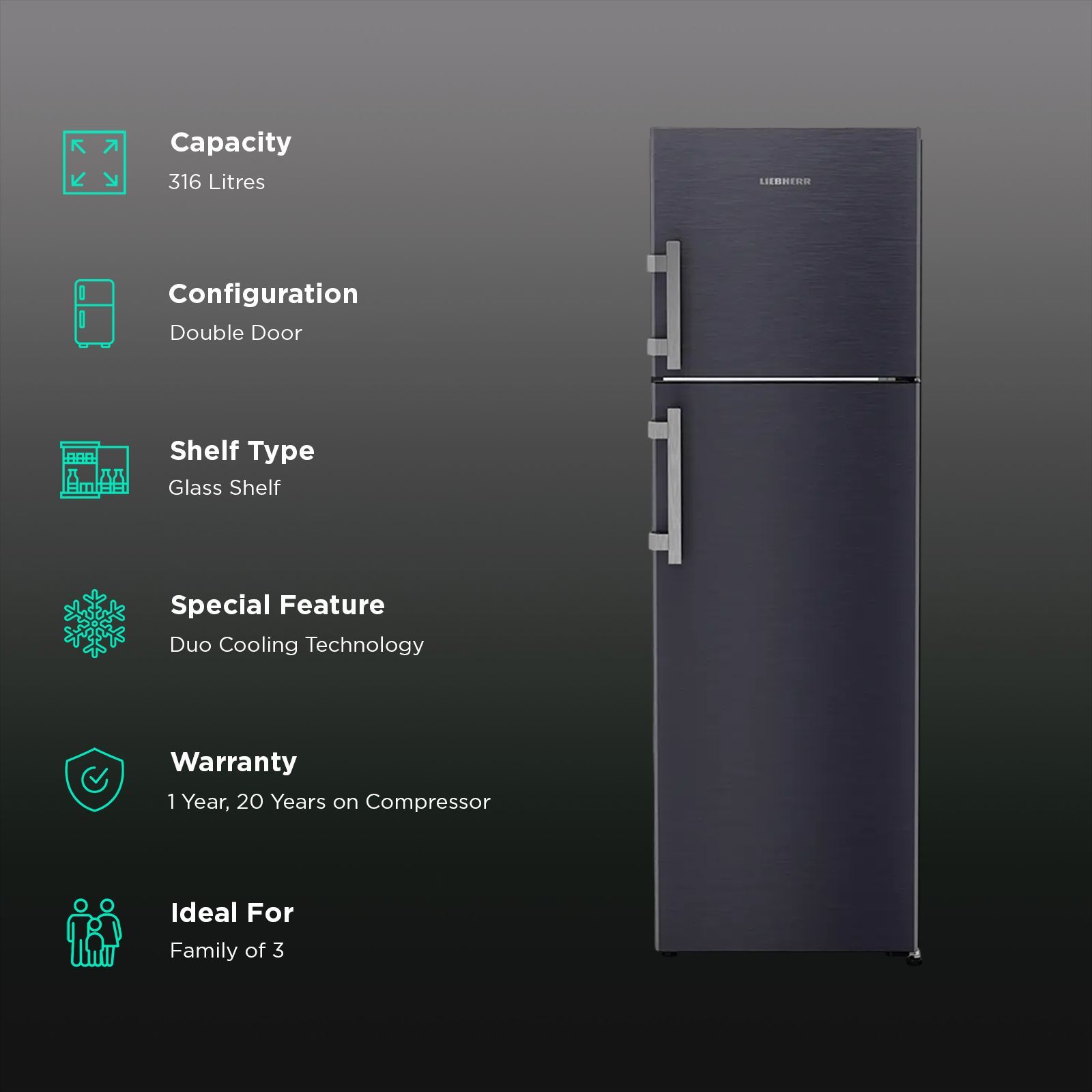 LIEBHERR Prime 316 Litres 2 Star Frost Free Double Door Refrigerator with Stabilizer Free Operation (TELcsB 3151, Cobalt Steel)_2