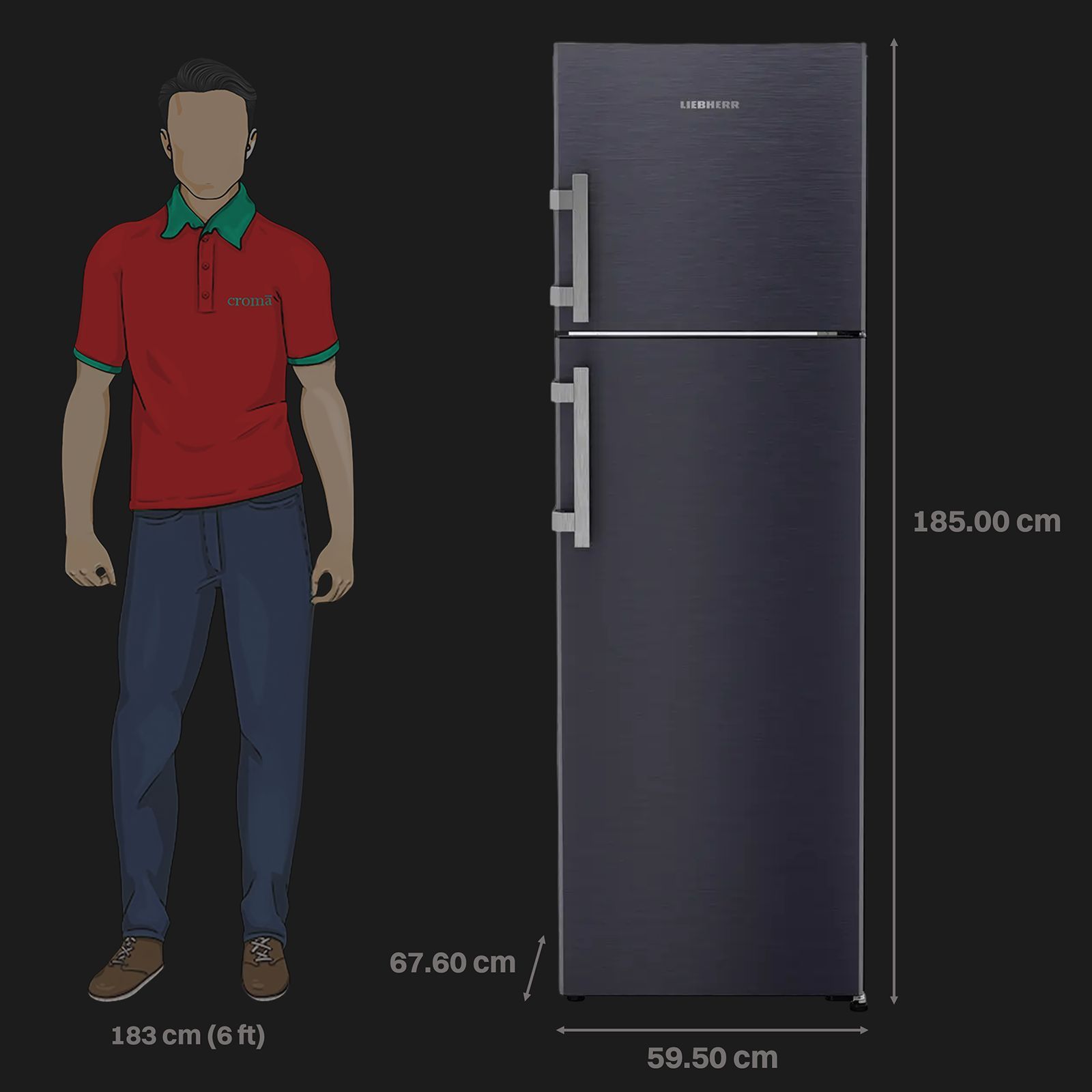 LIEBHERR Prime 316 Litres 2 Star Frost Free Double Door Refrigerator with Stabilizer Free Operation (TELcsB 3151, Cobalt Steel)_3