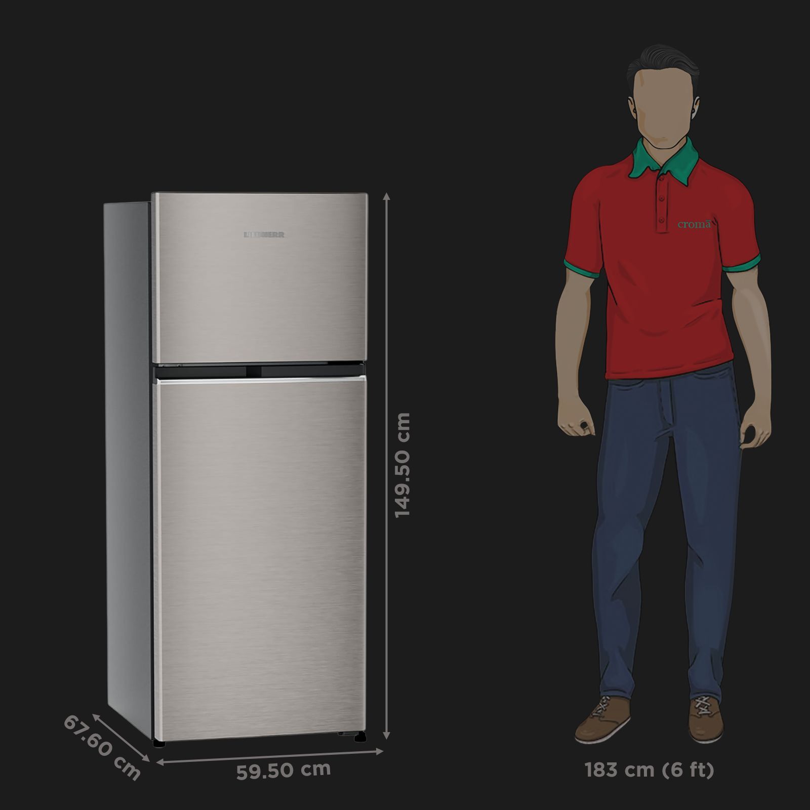 LIEBHERR Cluster 1 245 Litres 2 Star Frost Free Double Door Refrigerator with Bigger Vegetable Basket (TCHgsB 2411, Grey Steel)_2
