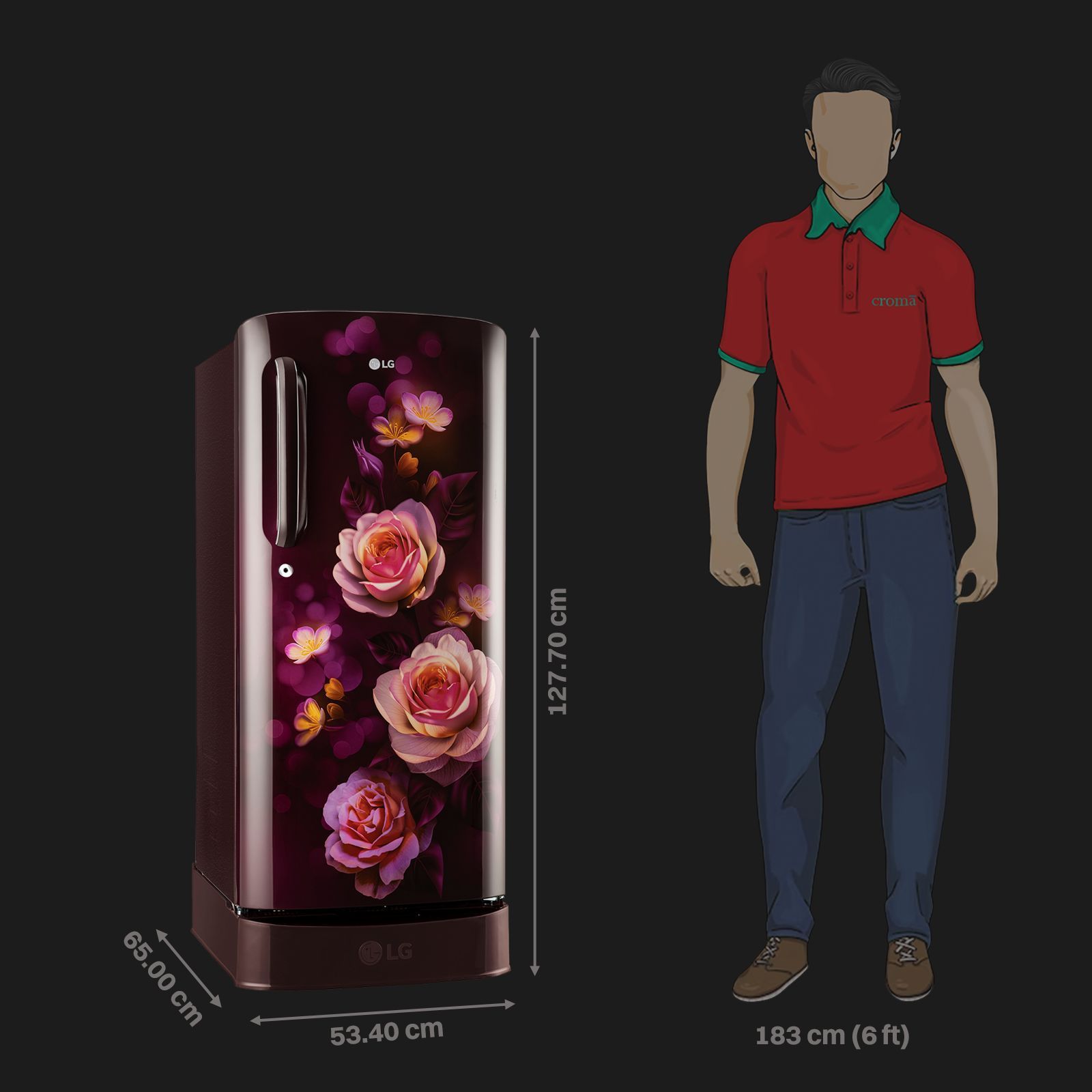 LG 201 Series 185 Litres 5 Star Direct Cool Single Door Refrigerator with Auto Smart Connect (GL-D201ASBU, Scarlet Bloom)_2