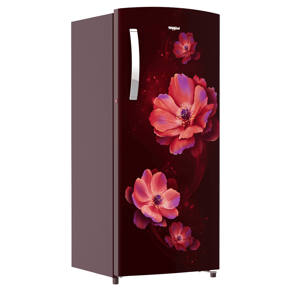 Whirlpool Ice Magic Pro 192 Litres 4 Star Direct Cool Single Door Refrigerator with Micro Block Technology (72575, Wine Antelia)_6