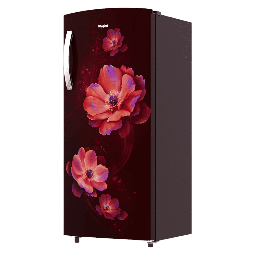 Whirlpool Ice Magic Pro 192 Litres 4 Star Direct Cool Single Door Refrigerator with Micro Block Technology (72575, Wine Antelia)_4