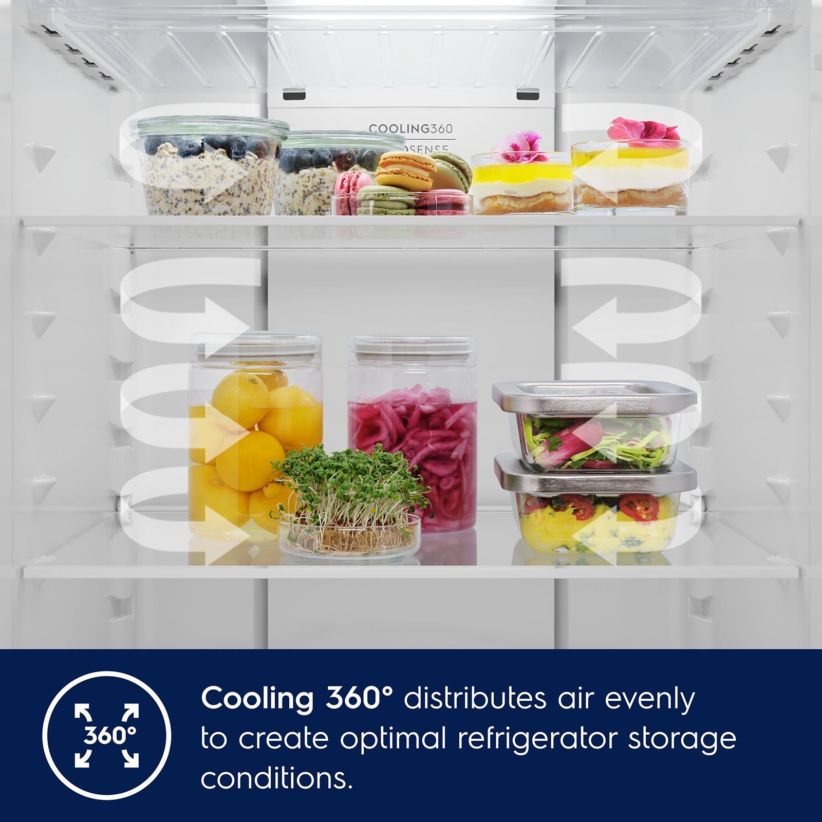 Electrolux 700 Series 431 Litres 1 Star Frost Free Double Door Refrigerator with AI AutoSense (ETM4302C-S, Steel)_11
