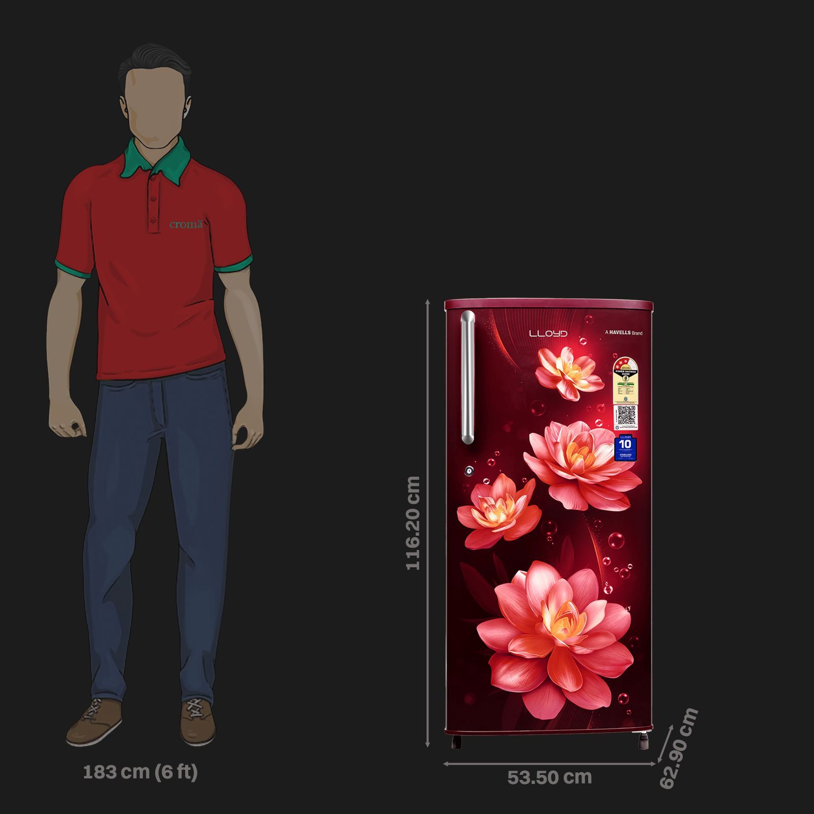 LLOYD Prime 188 Litres 3 Star Direct Cool Single Door Refrigerator with Antibacterial Gasket (GLDC203GSWT2WC, Silk Wine)_2