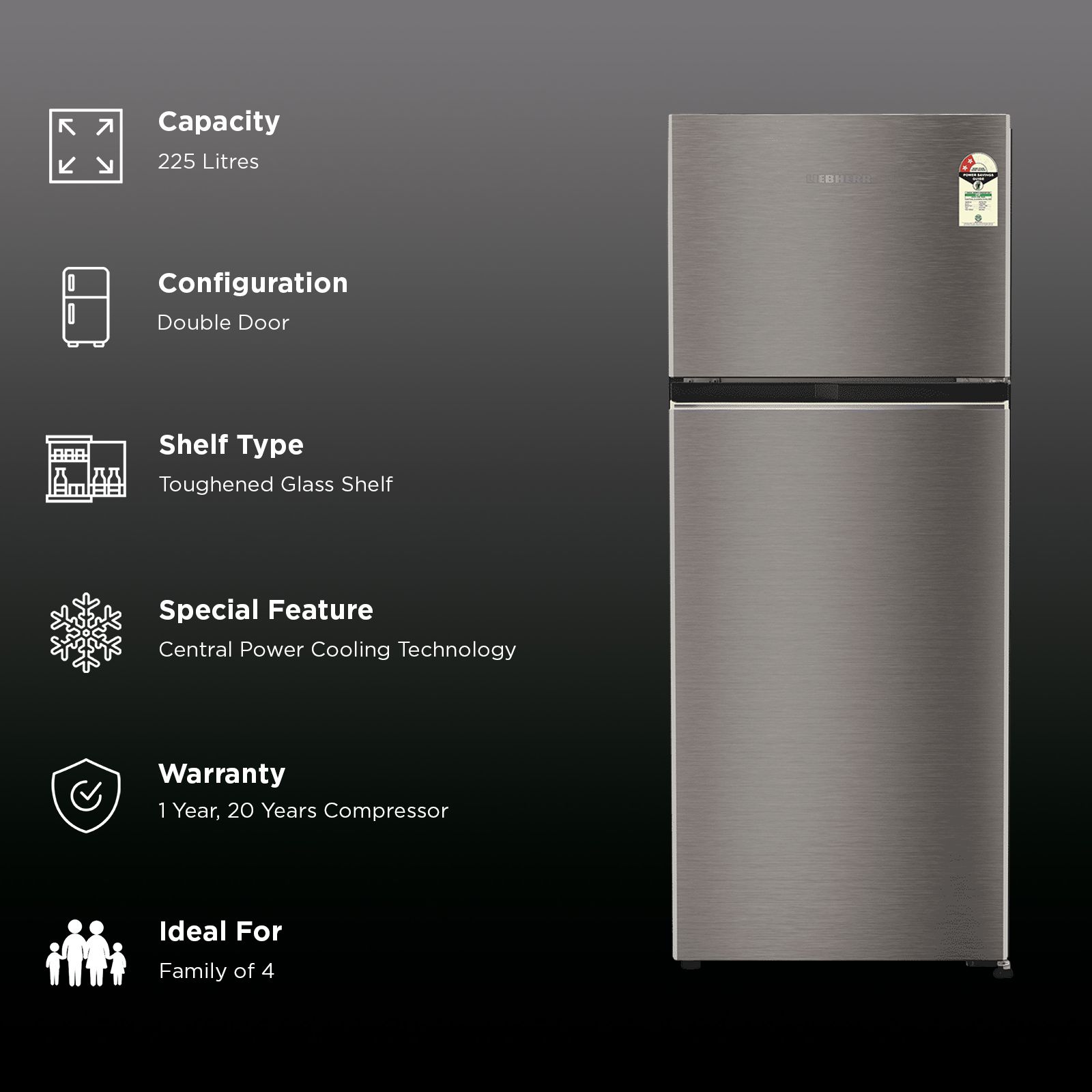 LIEBHERR Pure 225 Litres 2 Star Frost Free Double Door Refrigerator with Central Power Cooling Technology (TCHgsB 2411, Grey Steel) (2026 Model)_2