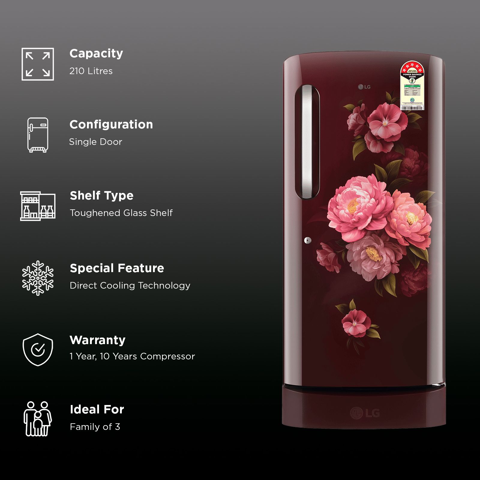 LG 210 Litres 5 Star Direct Cool Single Door Refrigerator with Anti Bacterial Gasket (GLD2256ZAWS, Wine Spring) (2026 Model)_2
