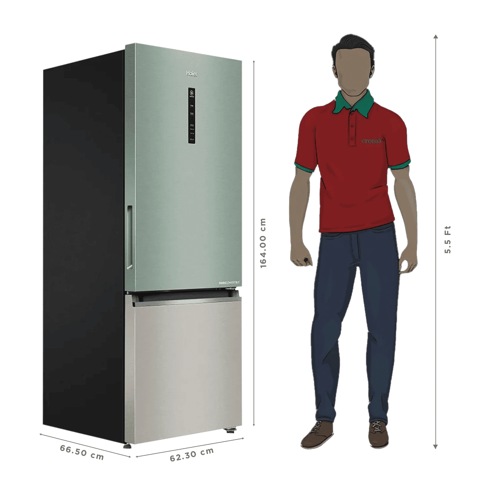Haier 325 Litres 2 Star Frost Free Double Door Bottom Mount Convertible Refrigerator with Triple Inverter Technology (HRB-3752SGGA-P, Sage Green Glass) (2026 Model)_3