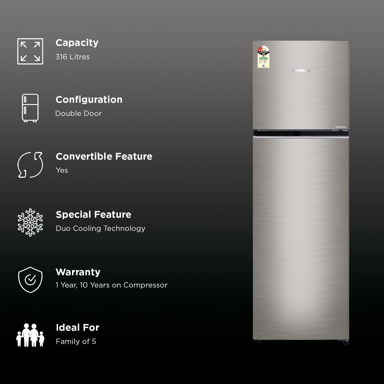 Liebherr Cluster 3 316 Litres 2 Star Frost Free Double Door Convertible Refrigerator with Duo Cool Technology (TVHgsB 3131, Grey Steel) (2026 Model)_2
