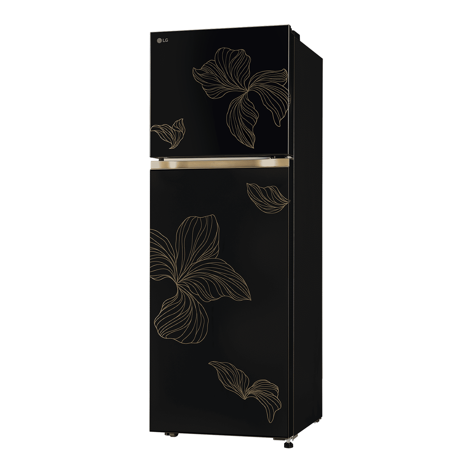 LG 251 Litres 1 Star Frost Free Double Door Refrigerator with Smart Mode (GLT2516WXRO, Radiant Onyx)_4