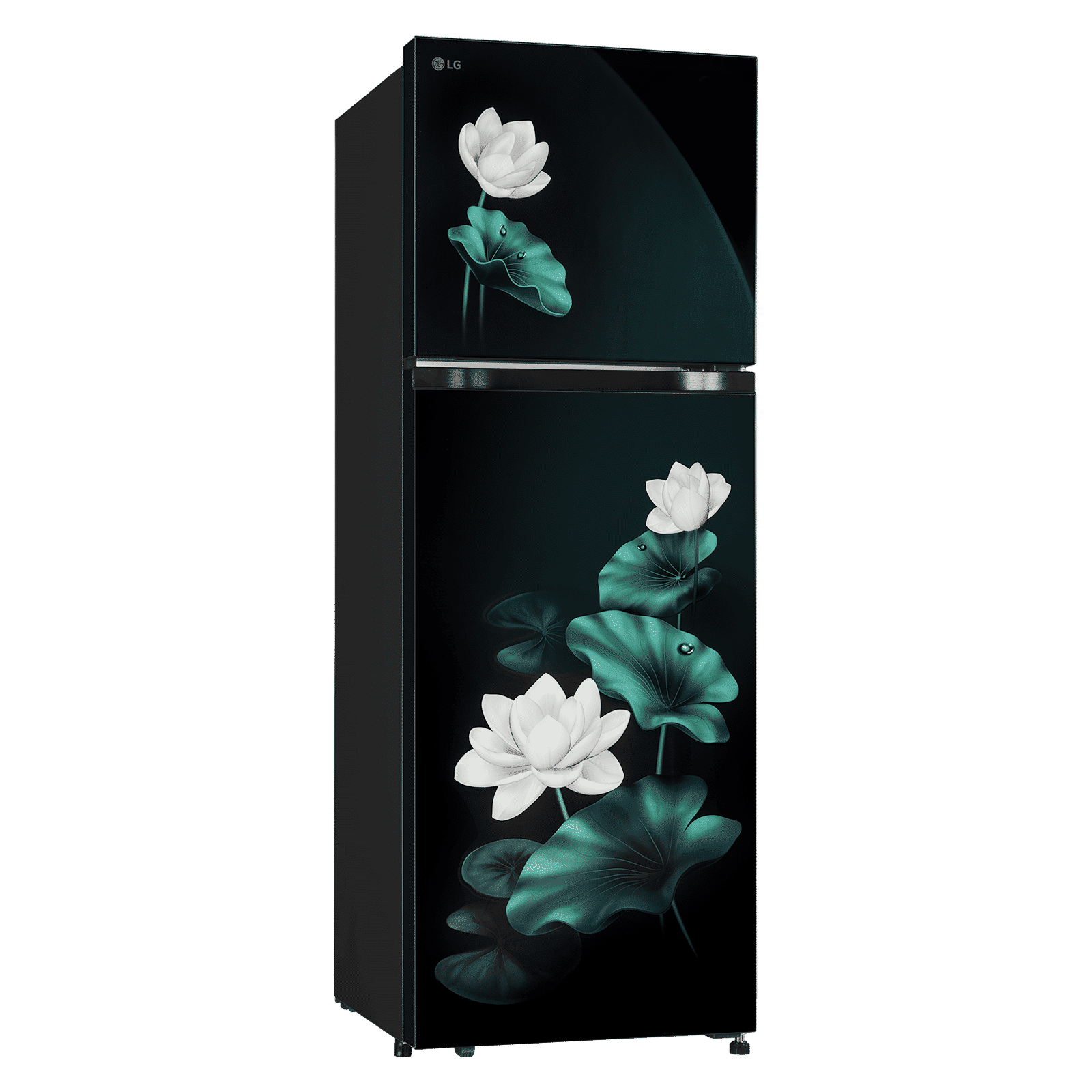 LG 251 Litres 2 Star Frost Free Double Door Convertible Refrigerator with Inverter Compressor (GLT2526XWEL, Emerald Lotus)_3