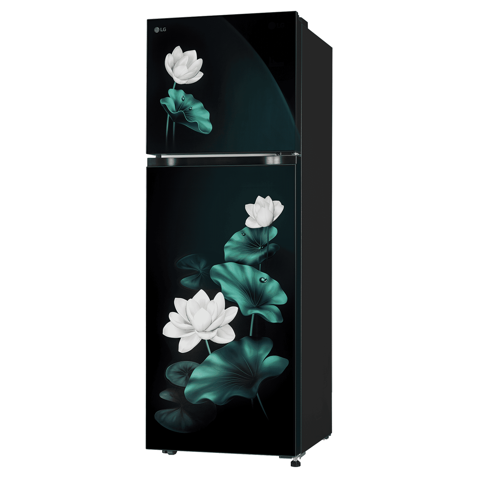 LG 251 Litres 2 Star Frost Free Double Door Convertible Refrigerator with Inverter Compressor (GLT2526XWEL, Emerald Lotus)_4