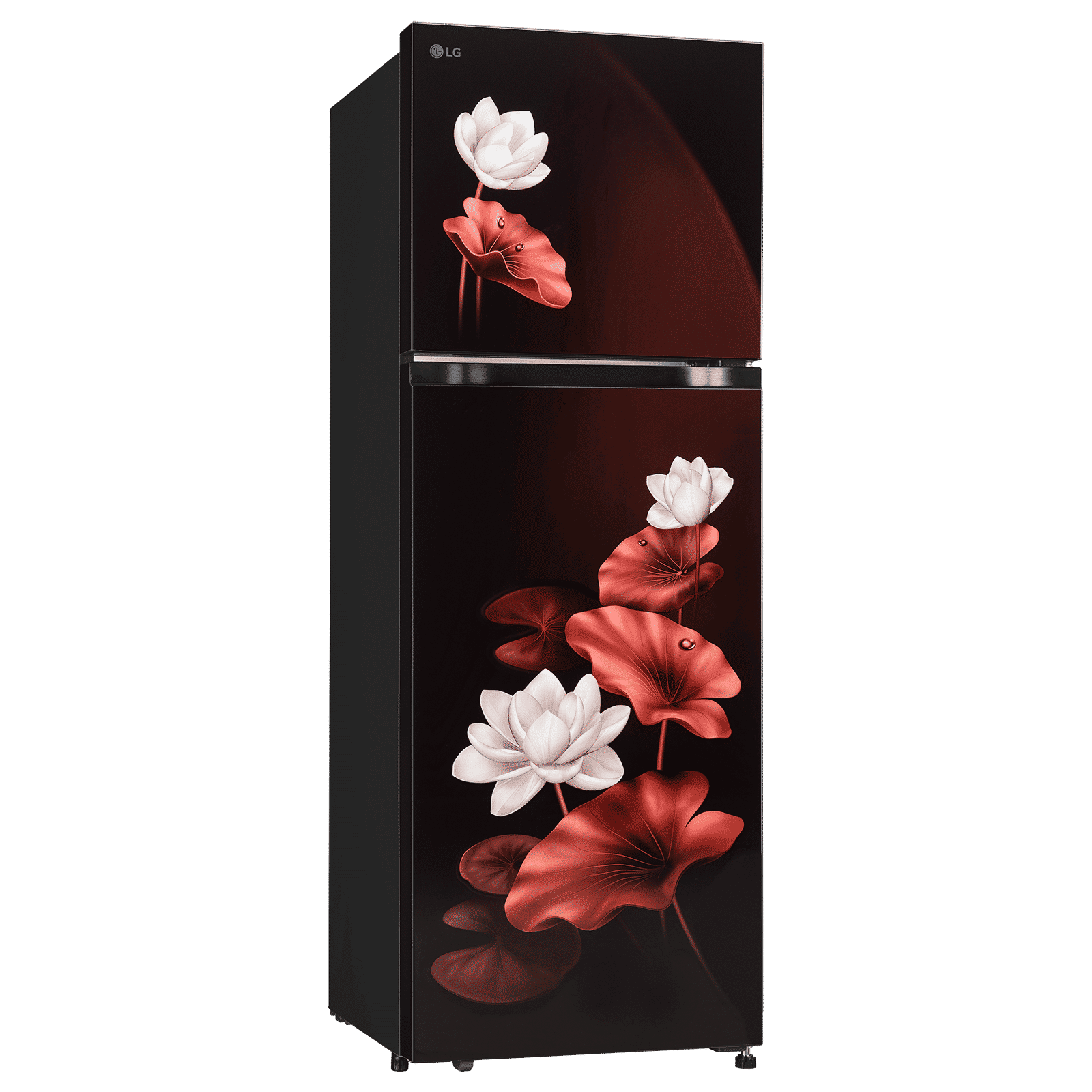 LG 251 Litres 2 Star Frost Free Double Door Convertible Refrigerator with Express Freeze (GLT2526XWSL, Scarlet Lotus)_3