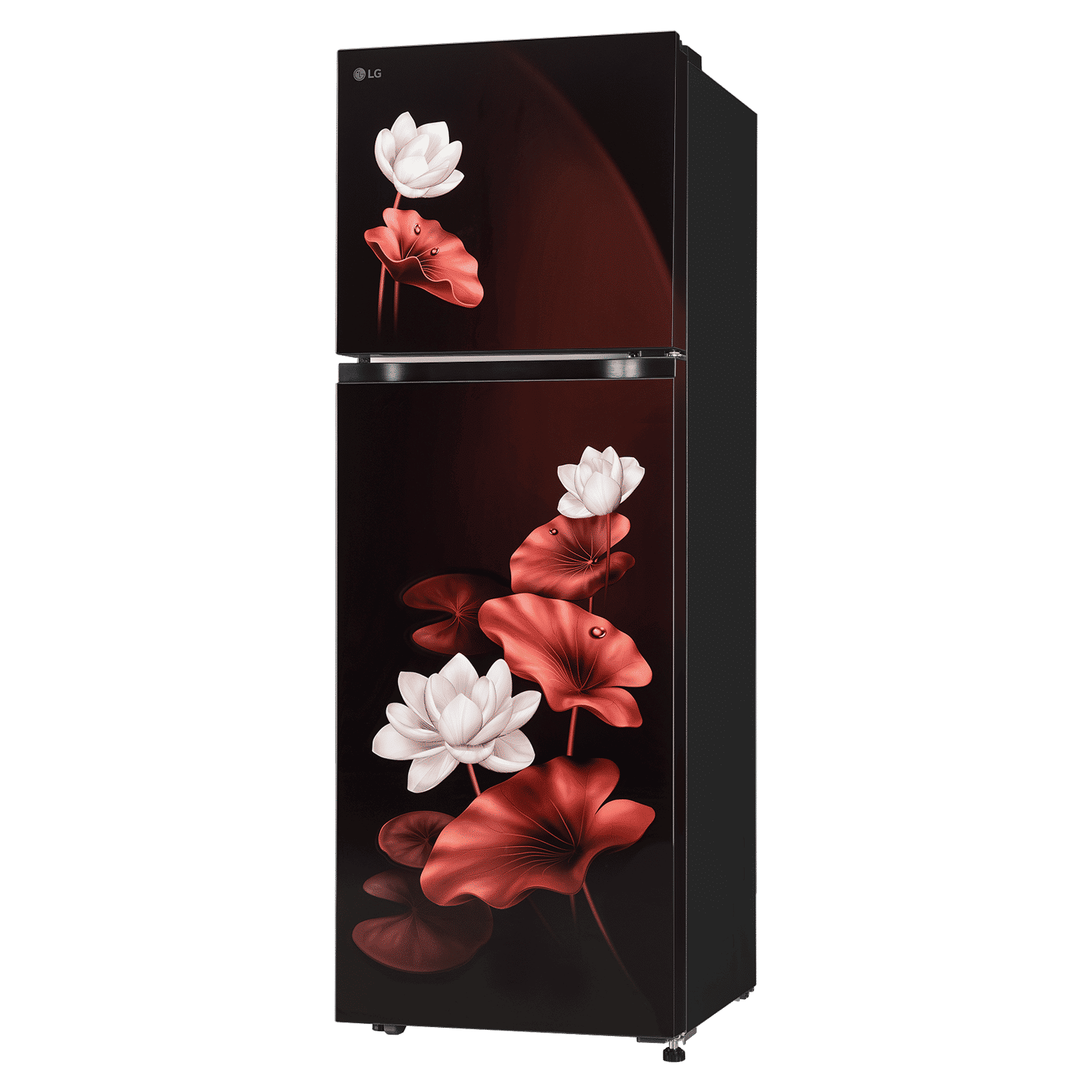 LG 251 Litres 2 Star Frost Free Double Door Convertible Refrigerator with Express Freeze (GLT2526XWSL, Scarlet Lotus)_4