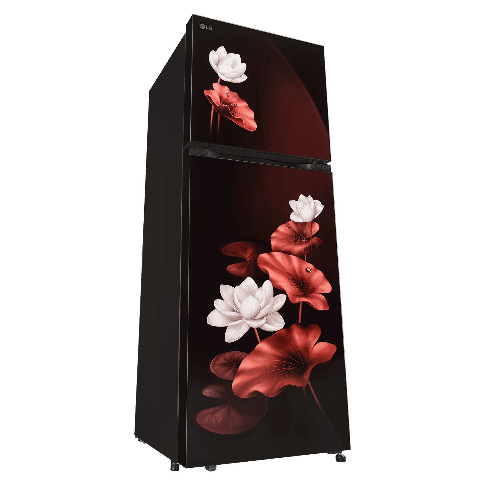 LG 251 Litres 2 Star Frost Free Double Door Convertible Refrigerator with Express Freeze (GLT2526XWSL, Scarlet Lotus)_5