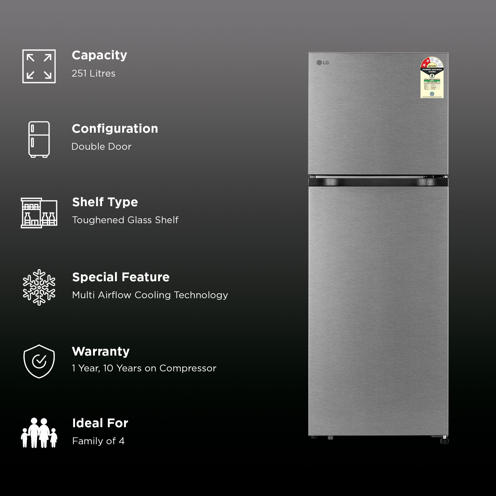 LG 251 Litres 2 Star Frost Free Double Door Refrigerator with Inverter Compressor (GLT2526WWDS, Dazzle Steel) (2026 Model)_2