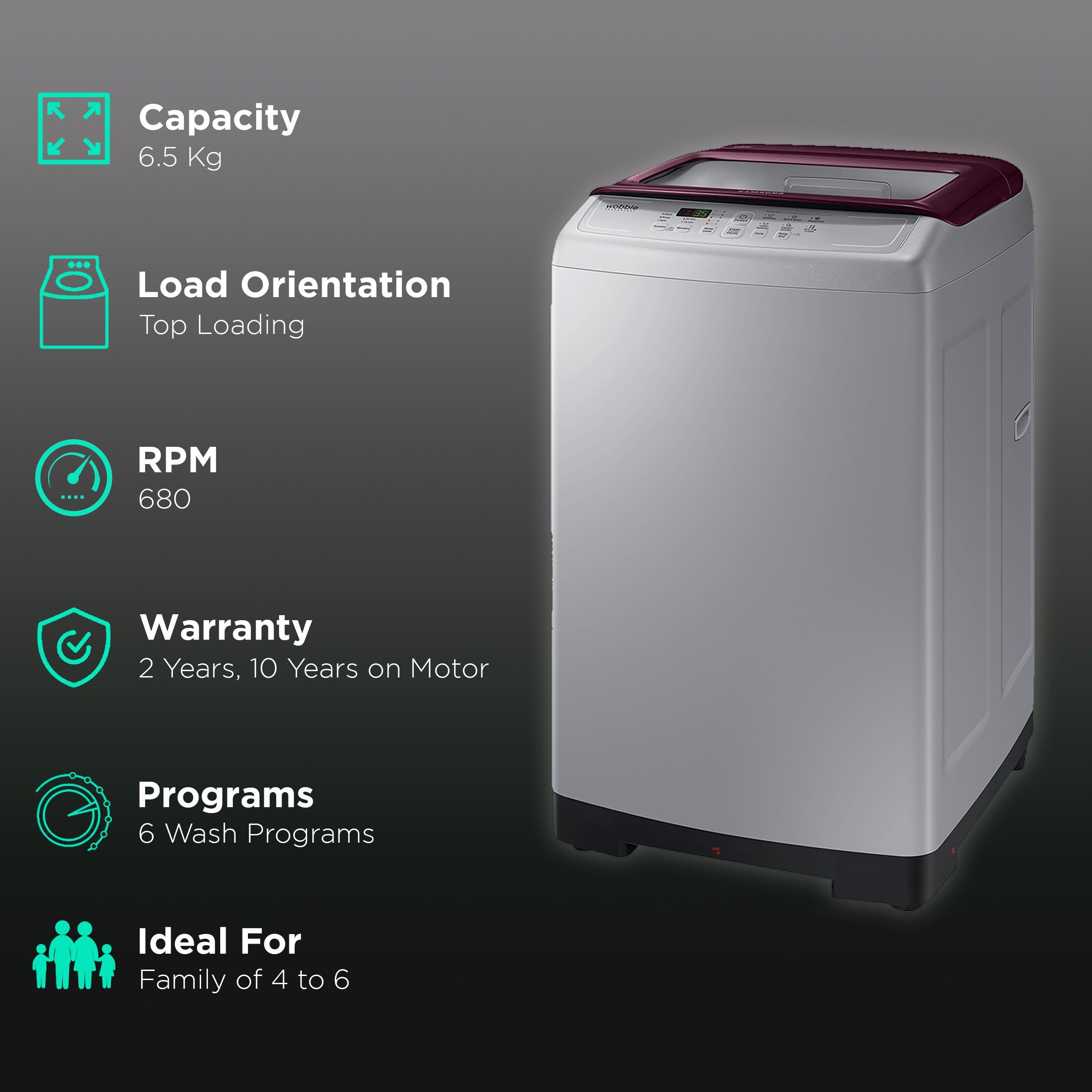 SAMSUNG 6.5 kg Fully Automatic Top Load Washing Machine (WA65A4022FS/TL, Magic Filter, Imperial Silver)_2