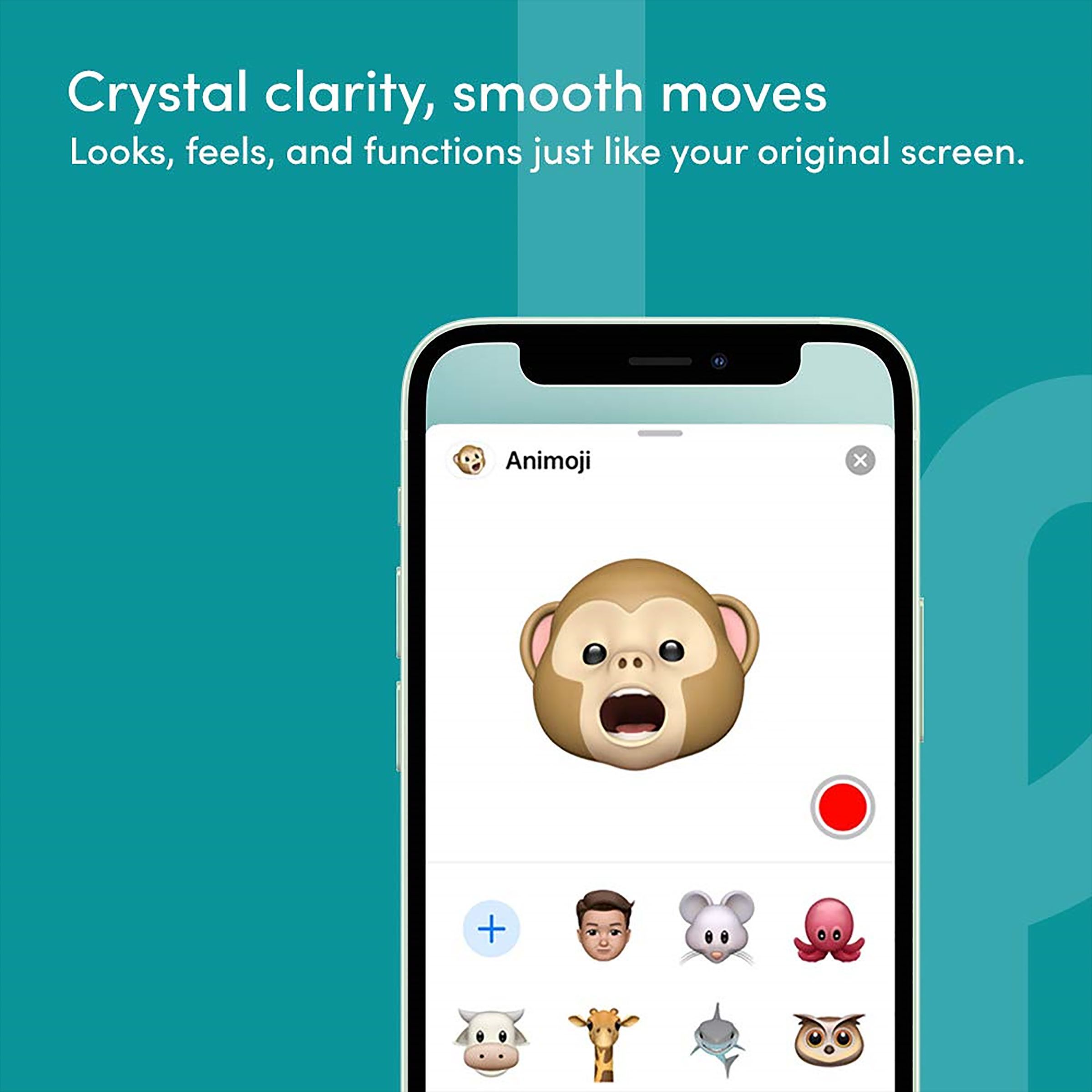 belkin Playa Screen Protector For iPhone 12 Mini (Smooth) belkin Playa Screen Protector For iPhone 12 Mini (Smooth)_5