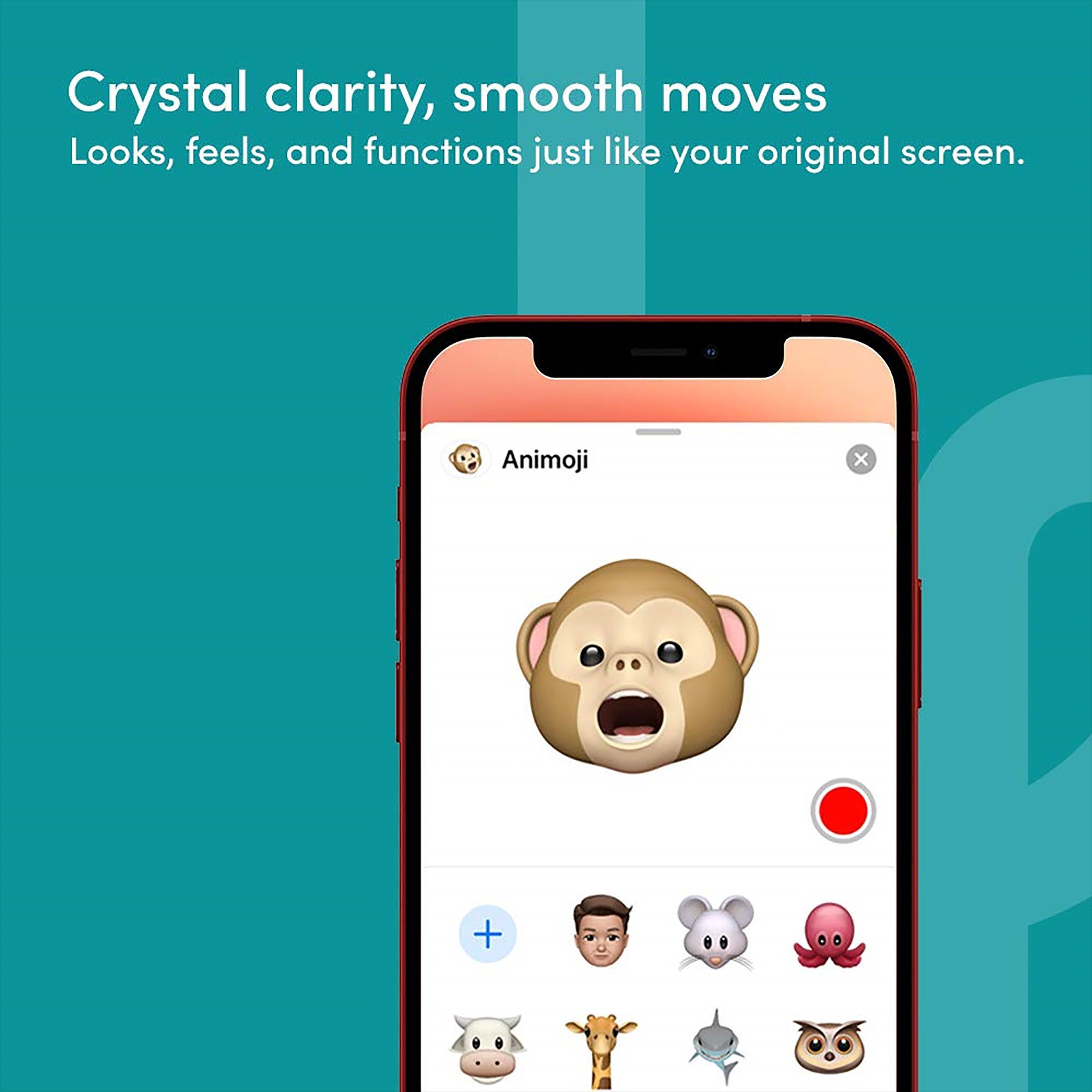 belkin Playa Screen Protector For iPhone 12 Pro and iPhone 12 (Smooth) belkin Playa Screen Protector For iPhone 12 Pro and iPhone 12 (Smooth)_5