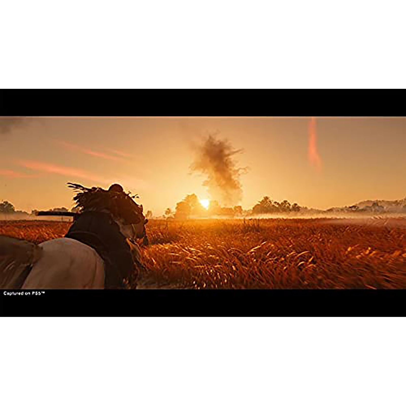 SONY Ghost Of Tsushima Director's Cut For PS4 (Action-Adventure Games, Standard Edition, 50668517)_4