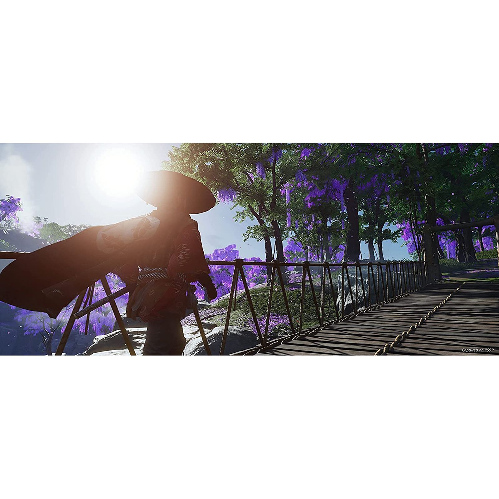 SONY Ghost Of Tsushima Director's Cut For PS4 (Action-Adventure Games, Standard Edition, 50668517)_6