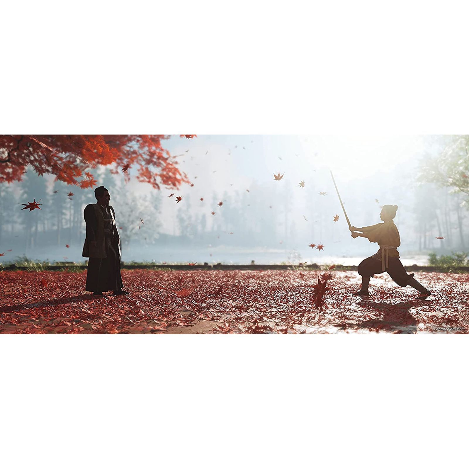 SONY Ghost Of Tsushima Director's Cut For PS4 (Action-Adventure Games, Standard Edition, 50668517)_9