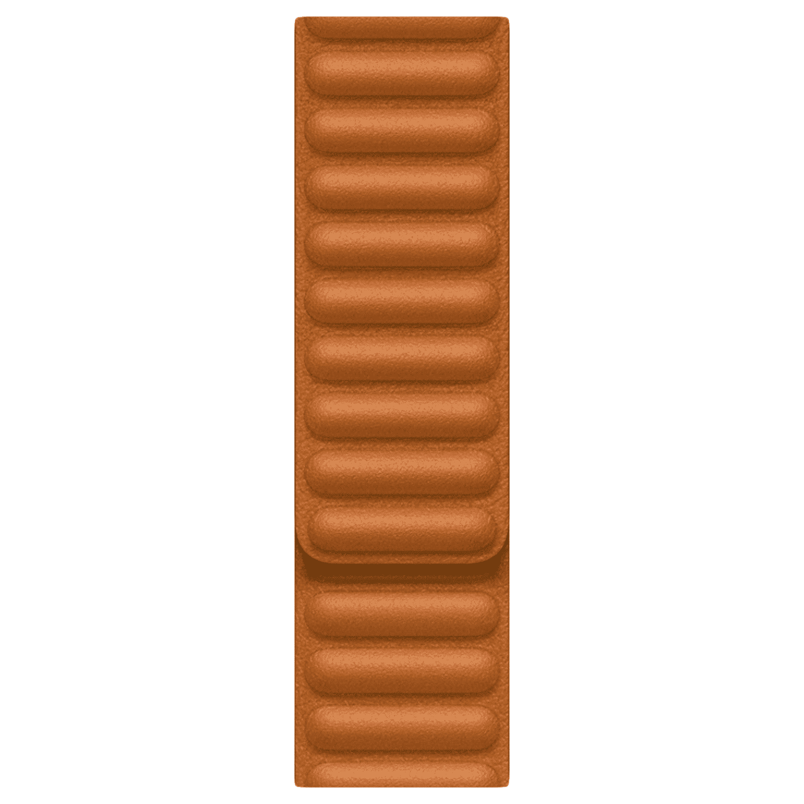 Apple Leather Magnetic Strap for Apple Watch Series 3 (38mm / 40mm) (Secure & Comfortable, Golden Brown)_1