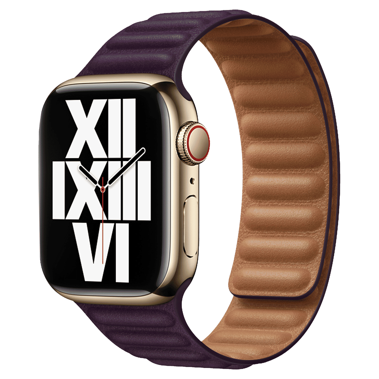Apple Leather Magnetic Strap for Apple Watch Series 3 (38mm / 40mm) (Secure & Comfortable, Dark Cherry)_2